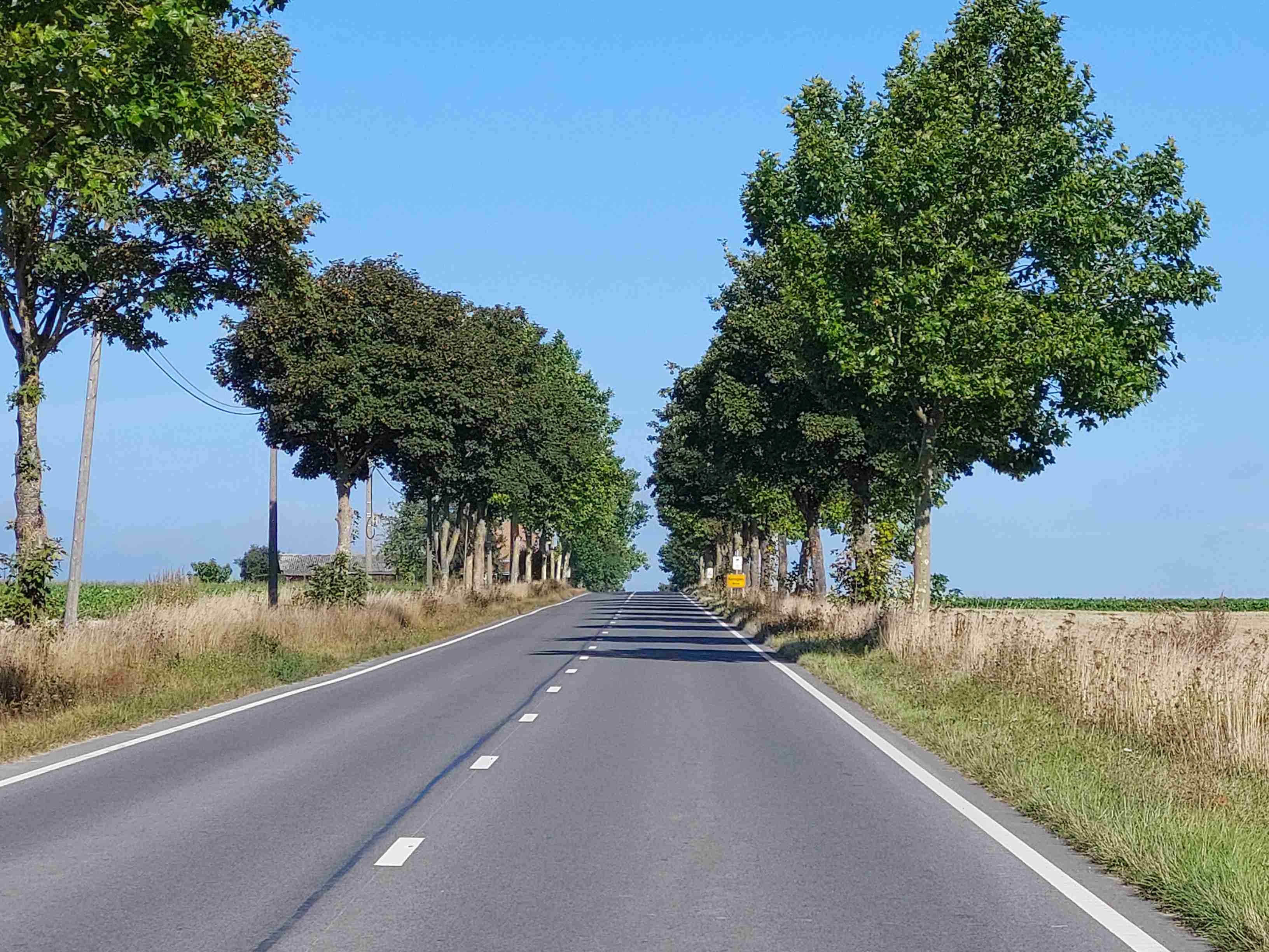 En tant qu'expert en code de la route belge, voici une description détaillée de la situation présentée dans l'image, en relation avec la question posée sur la ligne blanche continue au bord de la chaussée :
Description détaillée de la situation routière :
Type de situation routière :
L'image représente une longue section droite d'une route bidirectionnelle (à double sens de circulation), située hors agglomération. Il s'agit d'une chaussée à deux voies de circulation, une pour chaque direction. Le cadre est manifestement rural ou semi-rural, avec des champs cultivés de part et d'autre et une absence de constructions urbaines. La visibilité est excellente, sous un ciel bleu dégagé, suggérant une journée ensoleillée.
Éléments visibles :
La chaussée : Elle est en asphalte gris foncé, semblant être en bon état, et s'étend droit vers l'horizon.
Marquages au sol :
Lignes de rive : Deux lignes blanches continues délimitent le bord de la chaussée, une sur la droite et une sur la gauche. Ces lignes séparent la chaussée de l'accotement adjacent.
Ligne médiane : Une ligne blanche discontinue (interrompue) sépare les deux voies de circulation opposées.
Catadioptres : Des catadioptres (plots réfléchissants, souvent appelés "yeux de chat") sont intégrés dans la ligne médiane discontinue, améliorant la visibilité du marquage la nuit.
Accotements/Bords de route : De l'herbe sèche et des broussailles bordent la chaussée, au-delà des lignes blanches continues.
Végétation : La route est bordée des deux côtés par une allée d'arbres imposante et dense, aux feuillages verts, qui s'étire à perte de vue. Au-delà des accotements et des arbres, des champs agricoles sont visibles, notamment sur la droite et à l'arrière-plan.
Infrastructure : Des poteaux électriques en bois avec des câbles aériens sont visibles le long de la rangée d'arbres de gauche.
Ciel : Clair, bleu uni, sans nuages.
Véhicules : Aucun autre véhicule n'est visible sur la chaussée ou ses abords. La photo est prise depuis l'intérieur d'un véhicule qui se déplace sur la voie de droite.
Position et direction des véhicules s'il y en a :
Le véhicule depuis lequel la photo est prise est positionné sur la voie de droite et se déplace tout droit le long de la chaussée. Aucun autre véhicule n'est visible sur la route, ni devant, ni derrière, ni en sens inverse.
Panneaux de signalisation présents et leur signification :
Sur le côté droit de la route, à une distance relativement éloignée (vers le milieu de l'image en profondeur), on peut distinguer un panneau de signalisation d'indication de forme rectangulaire à fond jaune et à bordure noire. En Belgique, ces panneaux jaunes sont souvent utilisés pour des informations temporaires, des déviations, des messages spécifiques à un événement, ou des indications de localité/lieu touristique/entreprise. Le texte spécifique sur ce panneau n'est pas lisible en raison de la distance, mais sa couleur indique qu'il s'agit d'un panneau d'information ou d'avertissement spécifique, non un panneau de réglementation générale de vitesse ou de priorité.
Un autre panneau, plus petit et moins distinct, est visible plus loin à droite, mais son type et sa signification ne peuvent être déterminés avec certitude.
Tout autre élément pertinent pour comprendre la situation :
La perspective est celle d'un conducteur qui approche de cette section de route. La route semble longue et droite, invitant potentiellement à des vitesses élevées. L'alignement d'arbres crée un effet de "tunnel vert". La question se concentre spécifiquement sur la ligne blanche continue tracée au bord de la chaussée, qui, en Belgique (comme dans d'autres pays), a une signification particulière en termes de franchissement et d'arrêt. Elle délimite clairement la limite latérale de la chaussée, la séparant de l'accotement.